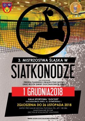 Mistrzostwa Śląska w siatkonodze zostaną rozegrane 1 grudnia