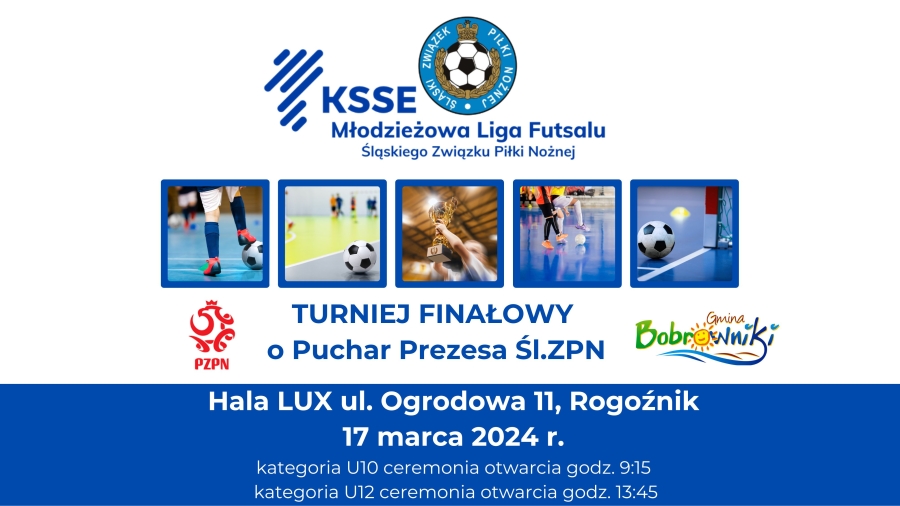 Finałowy turniej KSSE MLF chłopców w Rogoźniku