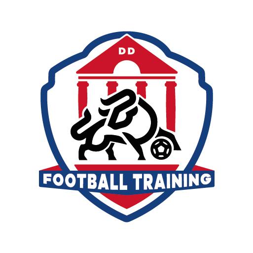Fundacja DD Football Training