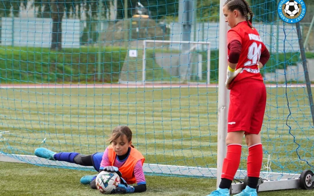 Zaproszenie zawodników i zawodniczek do projektu #ŚląskaRękawica