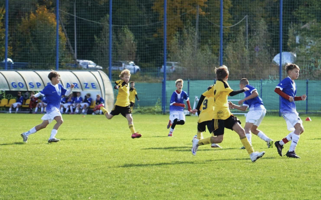 Powołania do Reprezentacji Śląskiego ZPN U12 na konsultację w dn. 03.11.2025 w Chorzowie