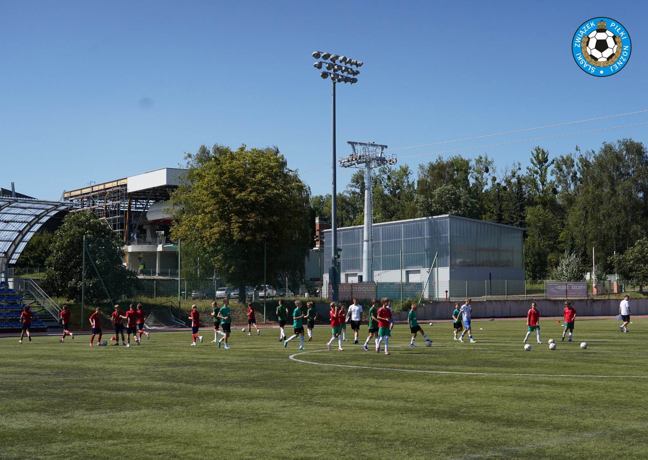 43